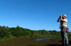 Avistaje de aves: Argentina está entre los paises de mayor crecimiento de practicantes de este hobby
