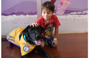 En el Hospital Garrahan se implementó, por primera vez, la terapia asistida por perros Ayuda. Los perros pueden cumplir una función sanadora en el hospital. | GTZA Htal Garrahan