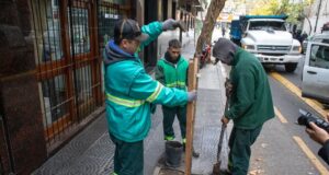 Durante este año plantarán 18 mil ejemplares nuevos | GZA: GCBA