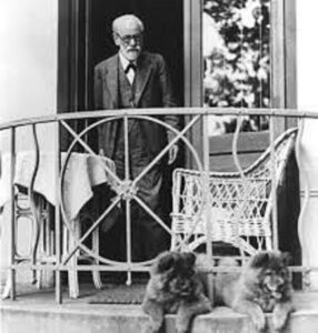 El perro de Sigmund Freud.