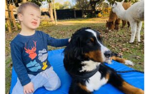 Animales de granja y kinesiología en la pileta: cómo son las nuevas técnicas que revolucionan la rehabilitación Intervenciones innovadoras que facilitan la recuperación física y anímica. | GZA: Entrevistados