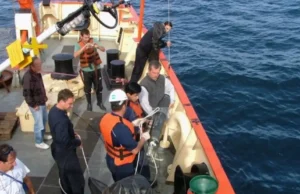 Dos expertos en oceanografía y atmósfera ganaron el Premio 2024 de la Fundación Bunge y Born La Fundación Bunge y Born premió a investigadores en ciencias del mar y la atmósfera. | Gza: Fundación Bunge y Born