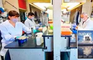 Investigadores afirman que la ciencia local está atravesando un ‘cientificidio’ definitivo Antes y después. Por primera vez en una década se contabilizaron menos investigadores y personal científico en este segmento. | gza. Instituto leloir