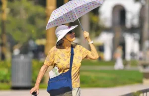 2024: el año más “caliente” registrado por las estadísticas Las poblaciones urbanas son particularmente afectadas por el calor.