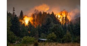 La temporada de incendios todavía está lejos de terminar. | GZA Parques Nacionales / Pcia NQN