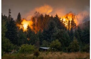 En lo que va de la temporada ya se quemaron 50 mil hectáreas La temporada de incendios todavía está lejos de terminar. | GZA Parques Nacionales / Pcia NQN