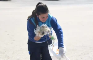 Según un censo ambiental, el 74% de los residuos hallados en las playas bonaerenses son plásticos PLASTICOS. Ya es una fija histórica y siempre alcanzan el primer lugar de los rankings de basura playera. | GZA: Fundacion Mundo Marino