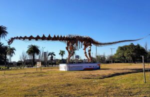 Instalan en una plaza de Recoleta una réplica exacta del dinosaurio más grande del mundo ESQUELETO. Réplica del Patagotitan mayorum que ayuda a difundir la paleontología en los chicos. | GZA: Enrique Garabetyan