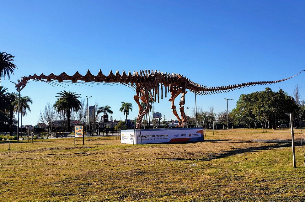 IMG_20250701_152221245_HDR_AE-min ESQUELETO. Réplica del Patagotitan mayorum que ayuda a difundir la paleontología en los chicos. | GZA: Enrique Garabetyan