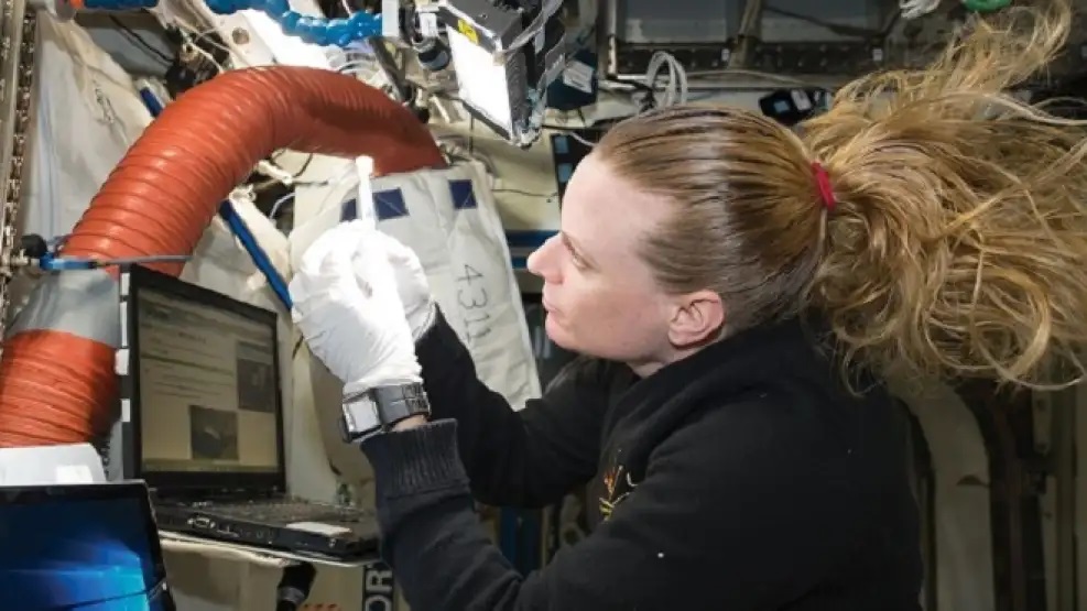 investigacion-espacial-2061801 INVESTIGACIONES. Las realizadas en el espacio generan nuevos descubrimientos sobre como tratar el cáncer, los ACVs y la osteoporosis, entre otras. | NASA / Clínica Mayo