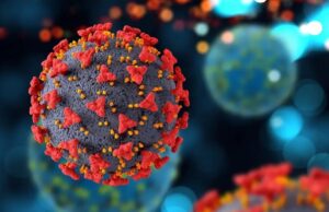 Y un día Frankenstein llegó a la Argentina SARS-CoV-2. El virus sigue con su proceso evolutivo natural.