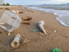 Casi el 80% de los residuos encontrados en las playas bonaerenses son plásticos TRISTE. Los resultados del censo muestran que los residuos plásticos siguen dominando la composición de la basura costera. | GZA: Fundación Mundo Marino