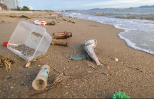 Casi el 80% de los residuos encontrados en las playas bonaerenses son plásticos TRISTE. Los resultados del censo muestran que los residuos plásticos siguen dominando la composición de la basura costera. | GZA: Fundación Mundo Marino
