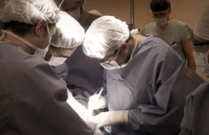 Desarrollando una técnica inédita en el mundo, cirujanos argentinos salvan dos embarazos de alto riesgo SIN PISTAS. Es una situación médica difícil de detectar por medio de los estudios más comunes.